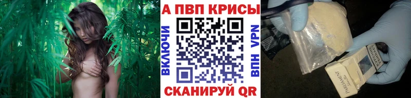 купить наркотики цена  Теберда  Alfa_PVP мука 