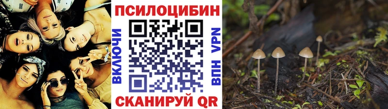 Псилоцибиновые грибы прущие грибы  где продают наркотики  Теберда 